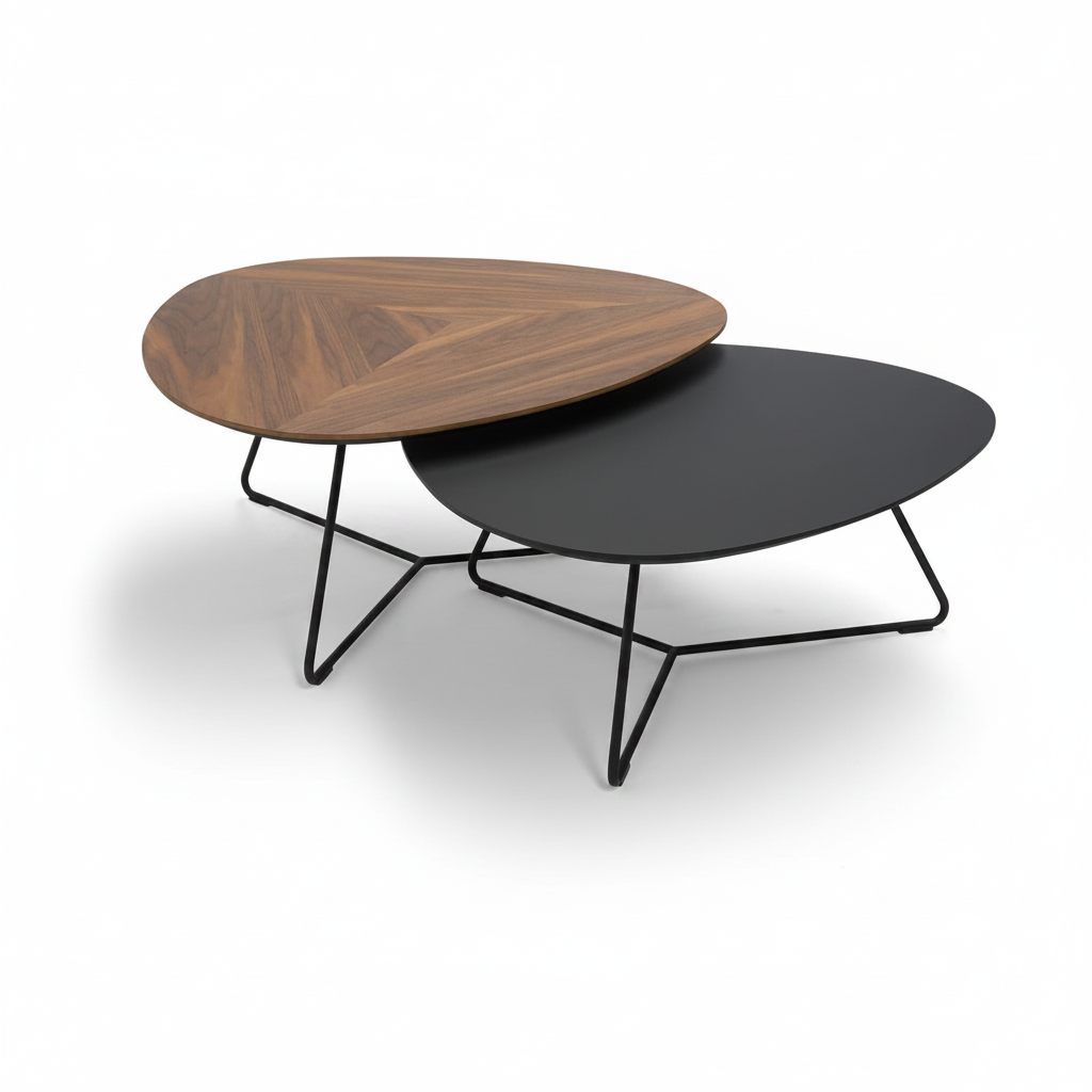 Set 2 tables basses organiques vue de dessus